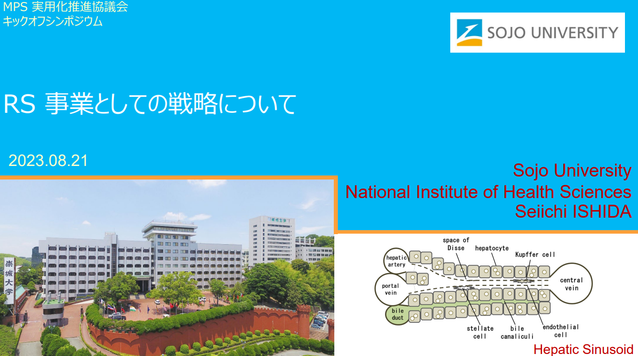 RS 事業としての戦略について